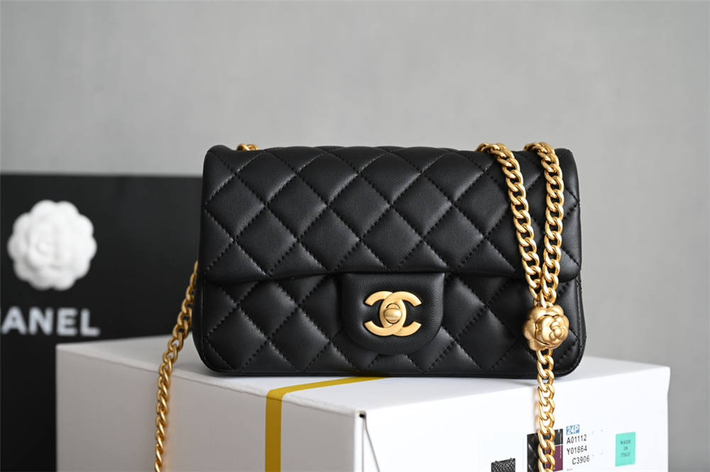 Chanel CF mini 20cm 2025 new 